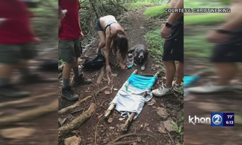 12-year-old Hawaii Boy Scout helps rescue couple, dog on Waimano Trail