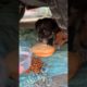 Daily Compilation  For Rescue Homeless Dogs and Cats, By Animals Hobbi 1282