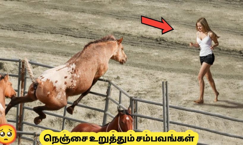 கல் நெஞ்சை கரைக்கும் சம்பவங்கள் #3 | Most Inspiring Animal Rescues Which will Melt Your Heart