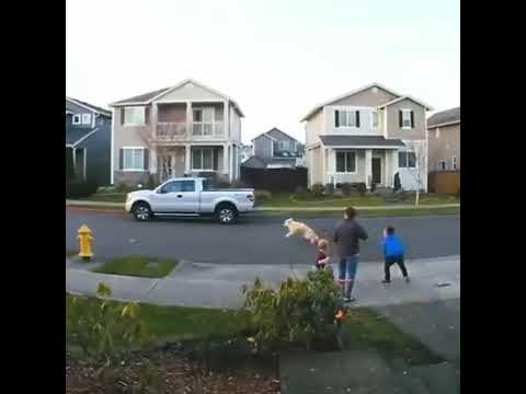 FailArmy || Fails of the Week || Fail-Friday 💞 Try not to laugh 🔥 fail viral video #shorts #failarmy