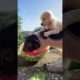 Cute puppy ❤️dog playing | Best Of The 2021 Funny Animals Videos😁 #84