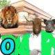 Funniest ANIMAL FIGHTS ⚰ Wild Animals Attack Meme Compilation 2021 | COFFIN DANCE MEME  #10