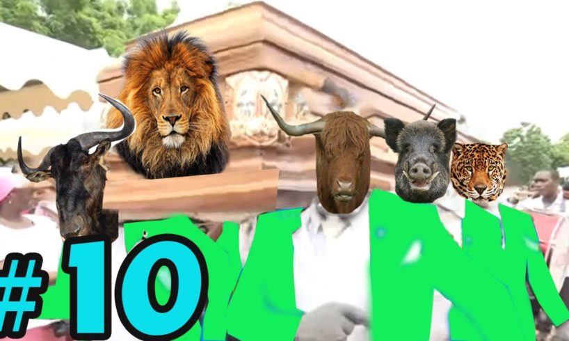 Funniest ANIMAL FIGHTS ⚰ Wild Animals Attack Meme Compilation 2021 | COFFIN DANCE MEME  #10