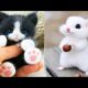 AWW SO CUTE! Cutest baby animals Videos Compilation Cute moment of the Animals - Cutest Animals #24