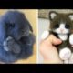AWW SO CUTE! Cutest baby animals Videos Compilation Cute moment of the Animals - Cutest Animals #28