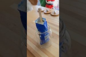 funny cats, cute cats, cutest puppies city