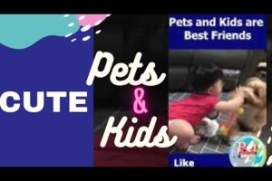 Cute animals |Kids and pets playing together |Kids and pets #10| #Shorts