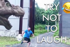 [2 HOUR] Try Not to Laugh Challenge! Funny Fails 😂 | Fails of the Week | Funniest Moments | AFV