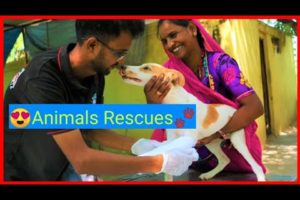 🐕20 Most Inspiring Animal Rescues🐾