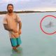 5 Shark Encounters That Will Terrorize You
