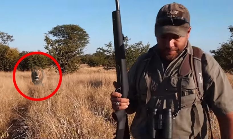 6 Lion Encounters That Will Give You Chills (Part 3)