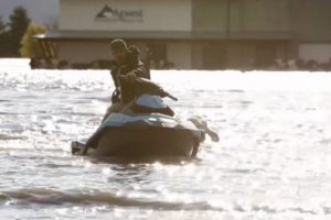 Abbotsford, B.C., residents use watercrafts to rescue stranded cattle