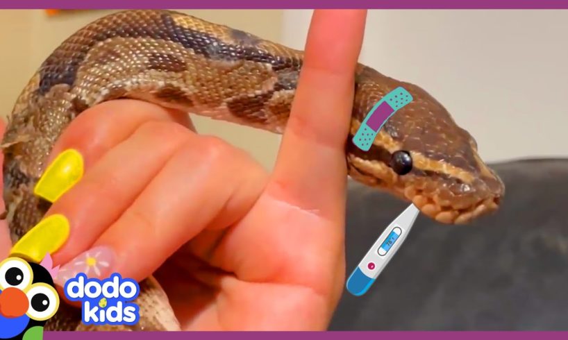 All Better — Sick Python Needs A Special Bubble Bath | Dodo Kids