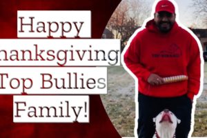 American Bully eats a RAW bird for thanksgiving! + Donating to dog shelters