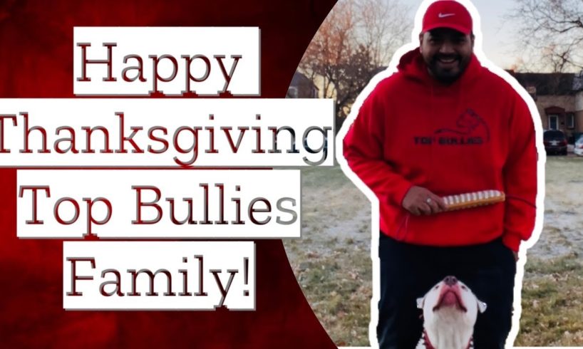 American Bully eats a RAW bird for thanksgiving! + Donating to dog shelters