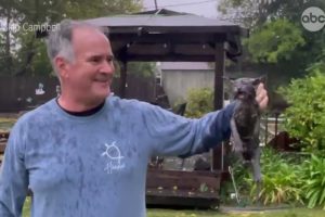 Animal Rescue: Sacramento man rescues kitten from drowning | Storm Watch