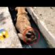 Animal Rescue Team इस Dog को दिया नया जीवन #shorts #xyzfactube