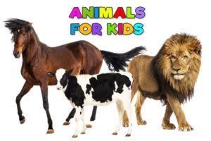 Animal sounds | Animals for kids | Learn animals | Animal name and sound