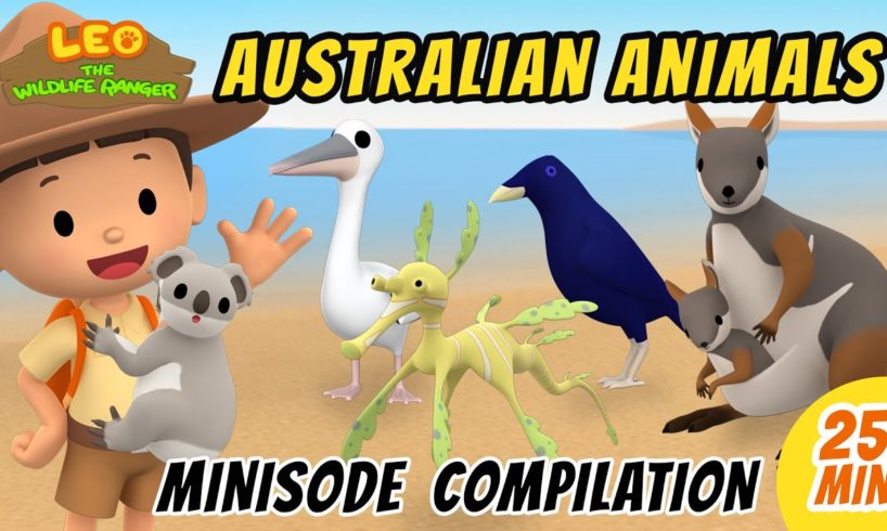 Australian Animals Minisode Compilation - Leo the Wildlife Ranger | Animation | For Kids