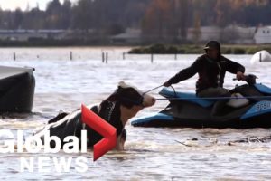 BC floods: Farmers rescue cattle with jet skis in Abbotsford