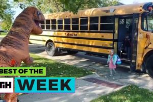 BEST OF THE WEEK - T-Rex Reunions?! | This Is Happening