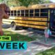 BEST OF THE WEEK - T-Rex Reunions?! | This Is Happening