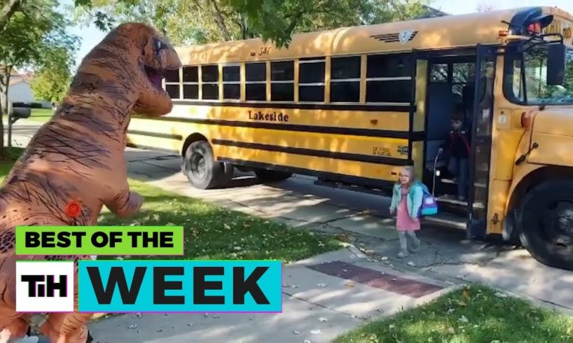 BEST OF THE WEEK - T-Rex Reunions?! | This Is Happening