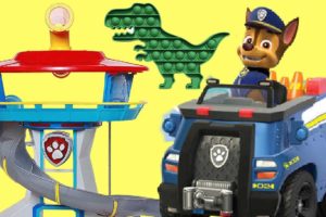 Best PAW PATROL Lookout Tower Mission & Pop Its to Learn About Animals