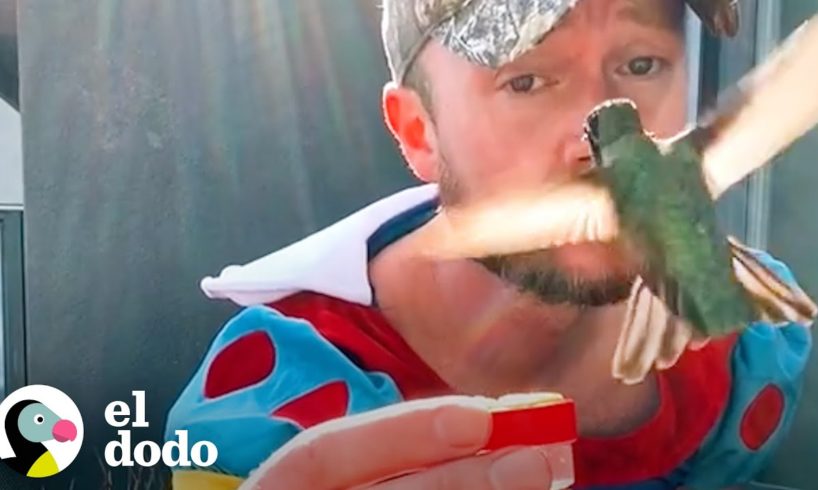 Chico que está obsesionado con los colibríes es la nueva blancanieves | El Dodo