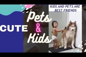 Cute animals |Kids and pets playing together |Kids and pets #Shorts