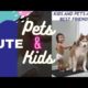 Cute animals |Kids and pets playing together |Kids and pets #Shorts