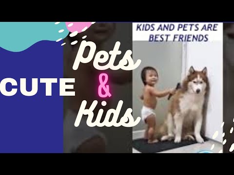 Cute animals |Kids and pets playing together |Kids and pets #Shorts