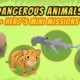 Dangerous Animals (Part 1/3) | Junior Rangers and Hero's Animals Adventure | Leo the Wildlife Ranger