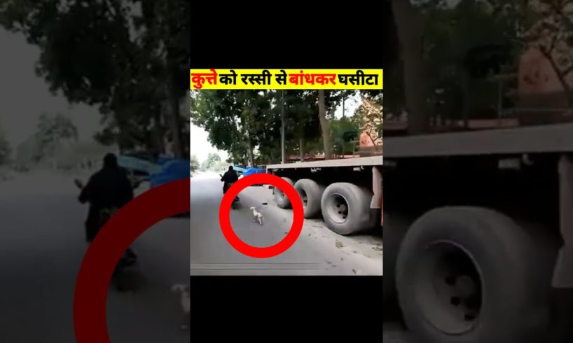 Dog rescue | story explained in hindi | animal rescue caught on camera |#shorts#ytshorts#rescue