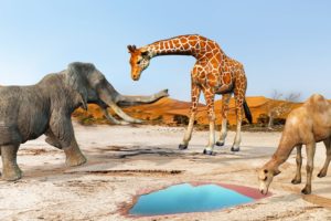 Elephant Versus Giraffe Water Fight Attack Camel | Mammoth Elephant Vs Giraffe Animal Epic Battle