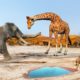 Elephant Versus Giraffe Water Fight Attack Camel | Mammoth Elephant Vs Giraffe Animal Epic Battle