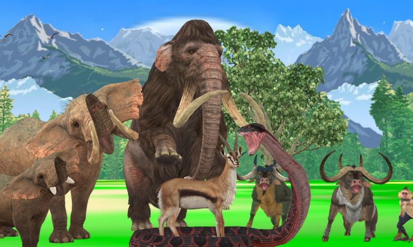 Elephant vs Giant Snake Fight Baby Elephant Rescue Woolly Mammoth Animal Fights Videos Animal Battle