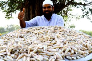 FISH CURRY Recipe | Traditional Fish Curry Recipe Cooking in Village style || Nawabs kitchen