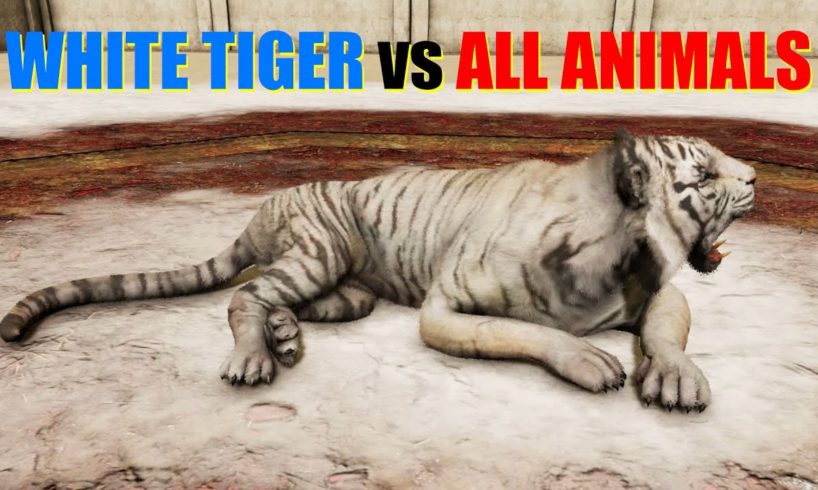 Far Cry 4 Animal Fight - White Tiger vs All Animals