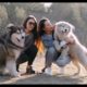 Funniest & cutest Golden Retriever Puppies Videos Cute Puppies videos #dog #dogvideos #Puppies