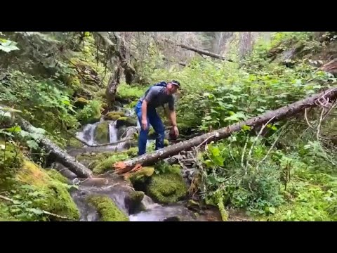 Funny Fails 2021 | Fear Of Failure | INSTANT REGRET |  Fails Of The Week | Girl Fails | WOF #125