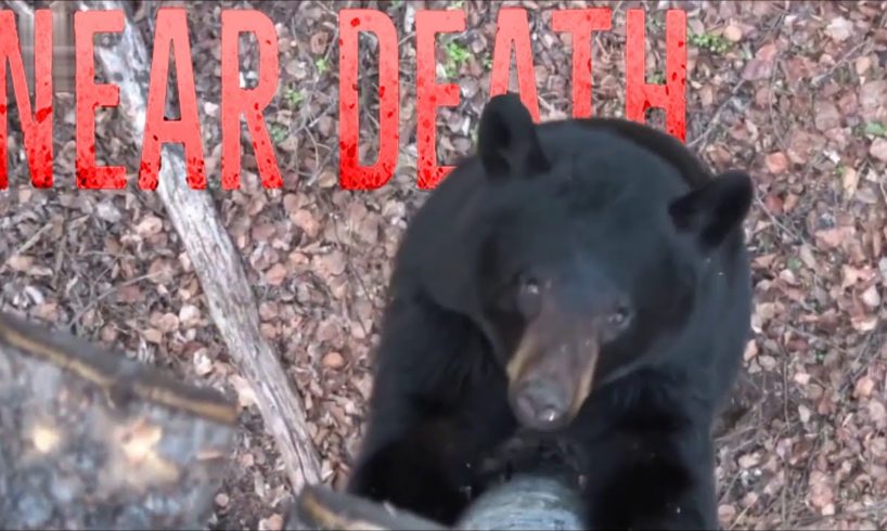 GMR166 reagiert Near Death Compilation / Live - Reaktion