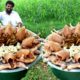 Garlic Chicken Fried Rice | Chicken Fried Rice | Home Style Chicken Fried Rice by Nawabs