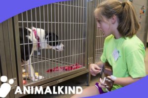 Girl sings to help shelter animals
