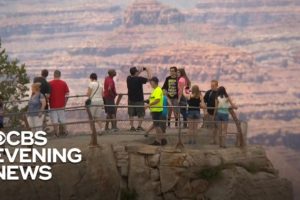 Grand Canyon tourist falls to his death while taking photos