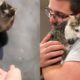 Homeless Cat Falls In Love With The Guy Who Rescued Him Rescue Cats
