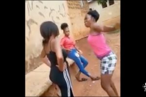 Hood Chicks Fighting: The Iron Face Challenge #hoodfight#girlfight#hoodrats