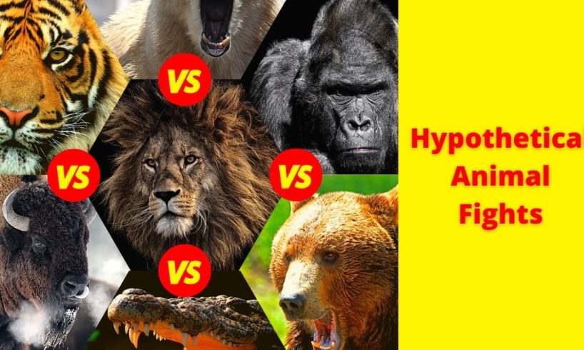 Hypothetical Animal Fights: How to Judge the Facts