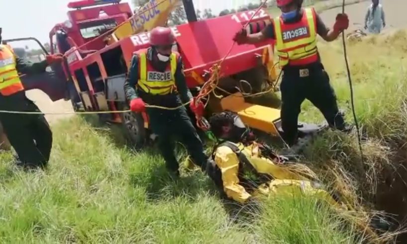 🐮Inspiring Animal Rescues 🐄