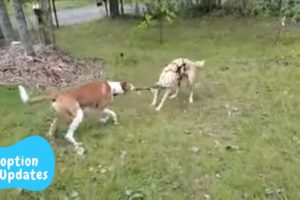 Lena in Finland!!!  - Takis Shelter